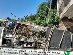 Best Commercial Junk Removal  in Hollywood Park, TX